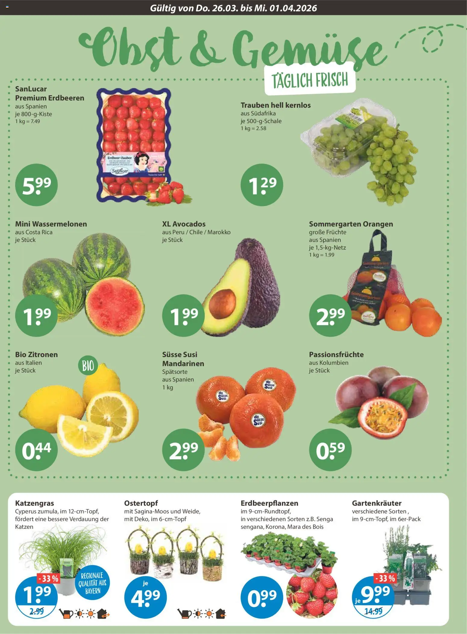 V-Markt Angebote – gültig ab 26.03.2026 | Seite: 4 | Produkte: Trauben, Mandarinen, Gemüse, Obst