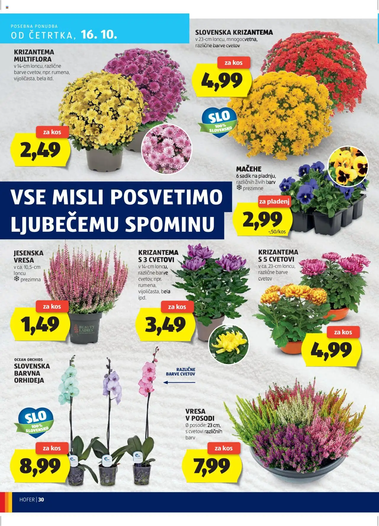 Hofer SI katalog | vrijedi od 09.10.2025 | Stranica: 30 | Proizvodi: Orhideja