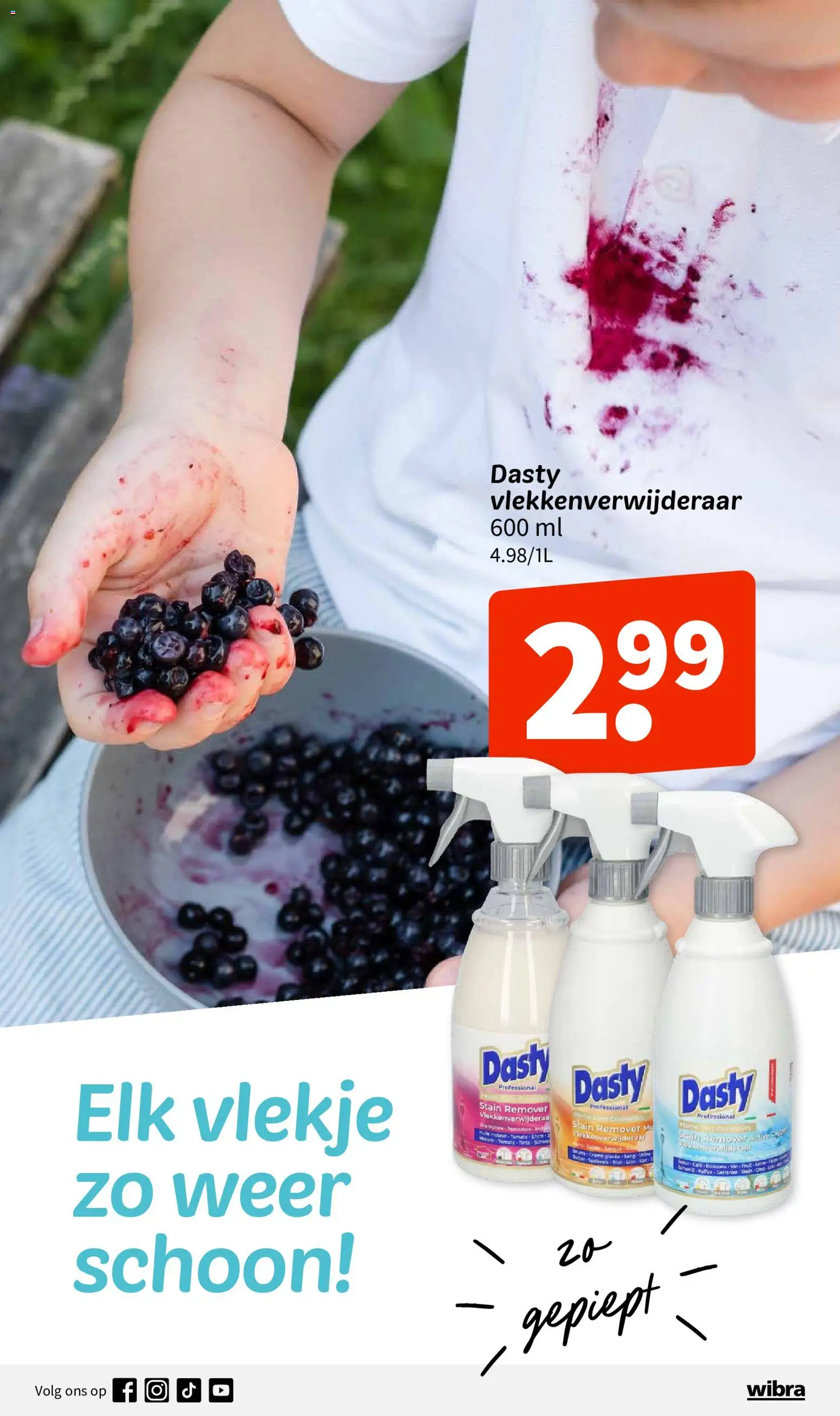 {H1} | Pagina: 10 | Producten: Vlekkenverwijderaar