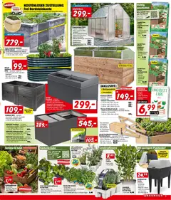 Bauhaus Prospekt aktuell ab 09.03.2026 gültig | Seite: 3 | Produkte: Salat, Gemüse