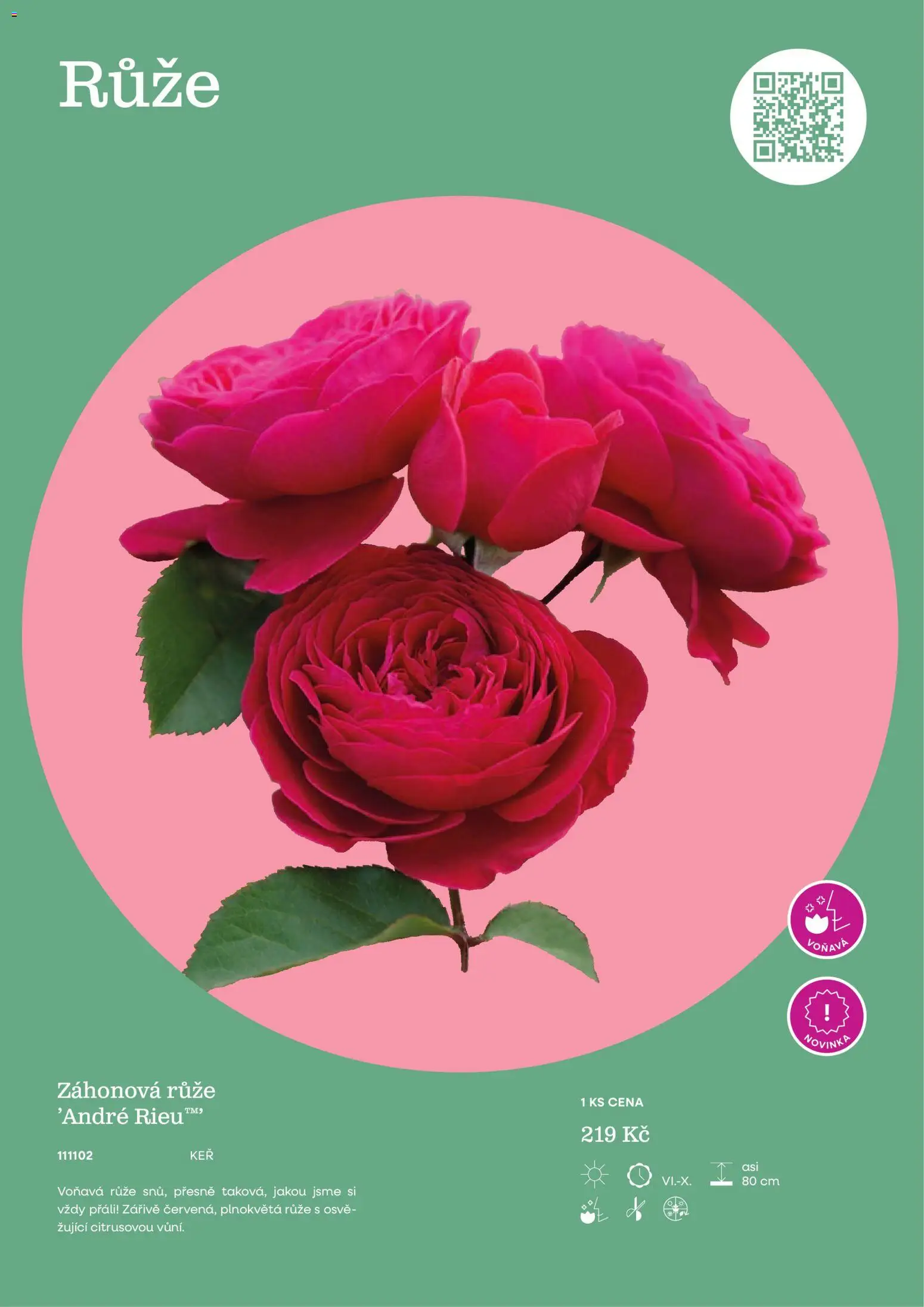 Starkl katalog od 25.02.2026 | Strana: 95