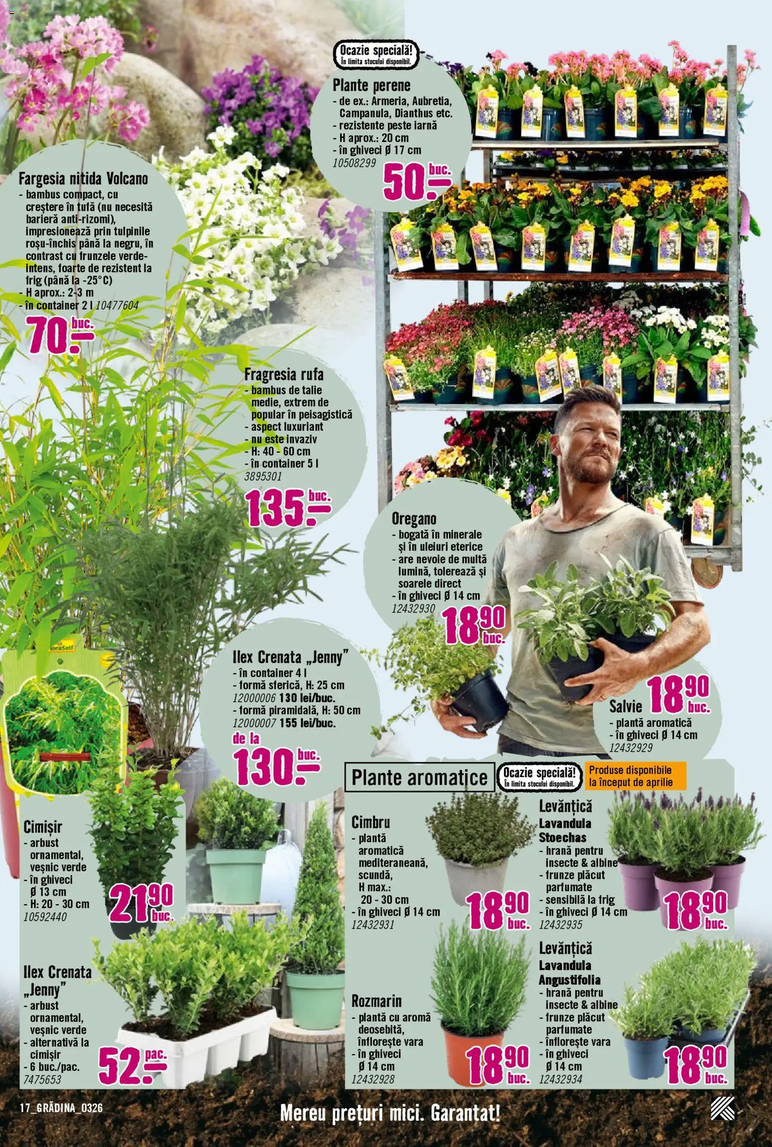 Noul catalog Hornbach – valabil de la 23.03.2026 | Pagină: 17 | Produse: Ghiveci, Pește, Demirhindi
