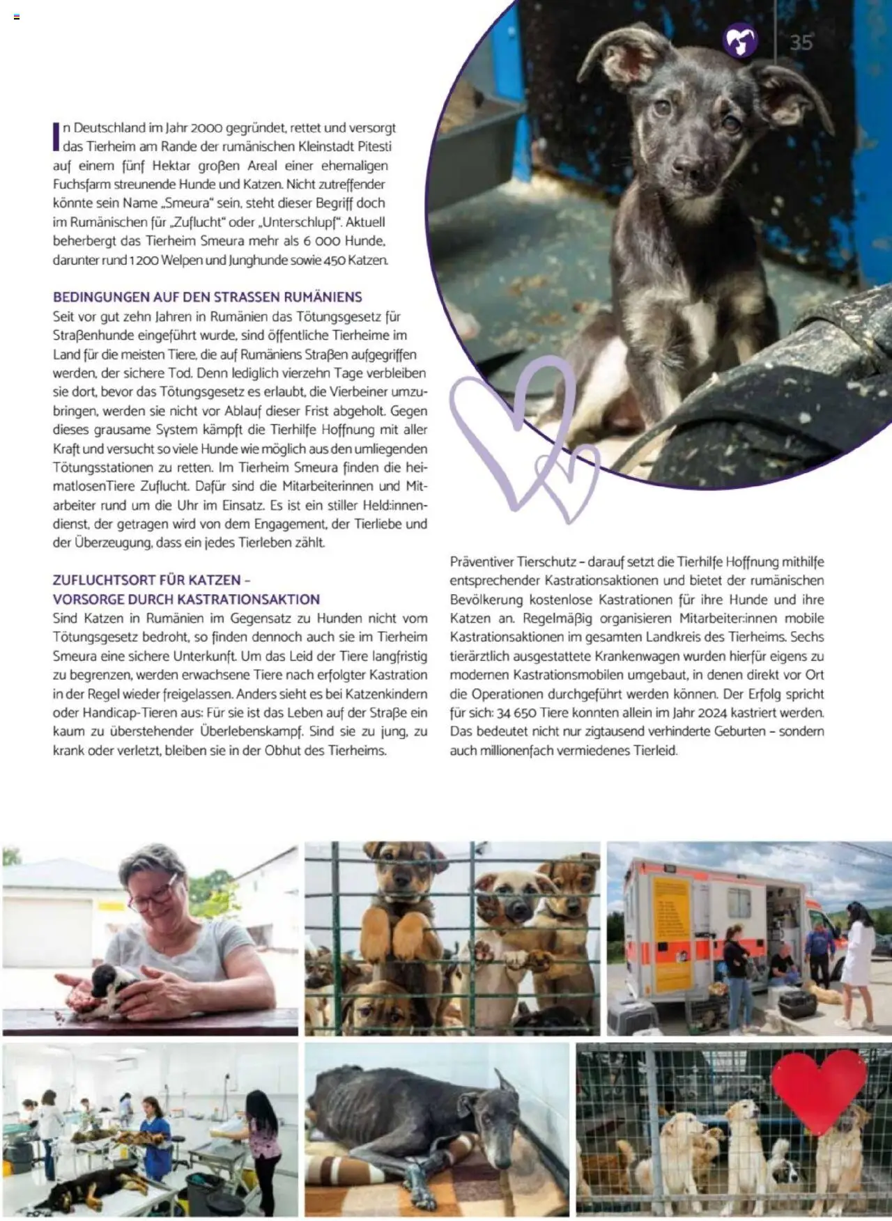 zookauf  Heimtier Journal - gültig ab dem 21.07.2025 | Seite: 35 | Produkte: Uhr