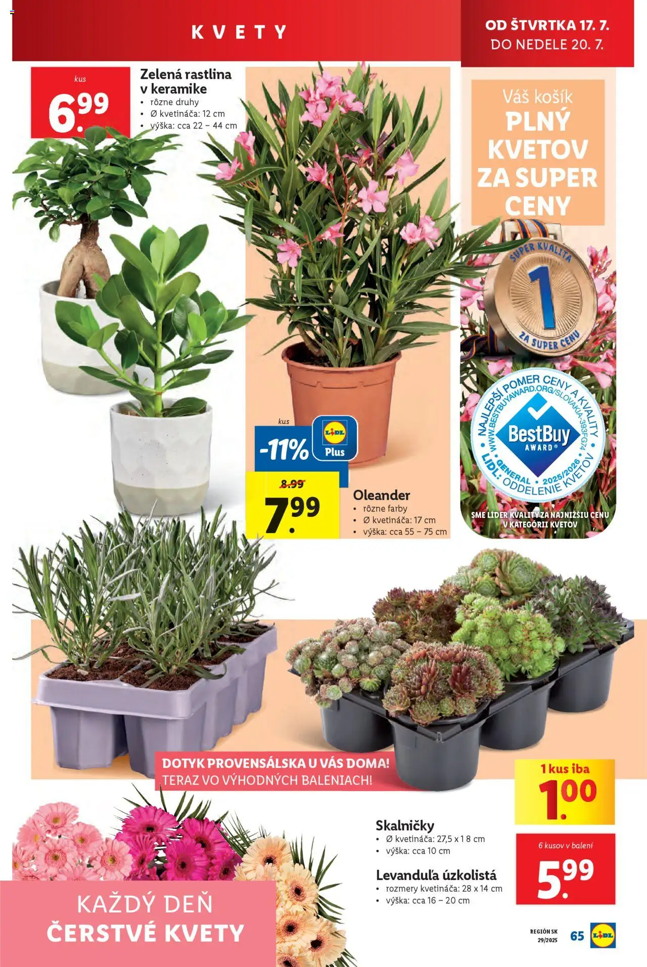 Lidl leták │ platný od 14.07.2025 | Strana: 77 | Produkty: Kvety