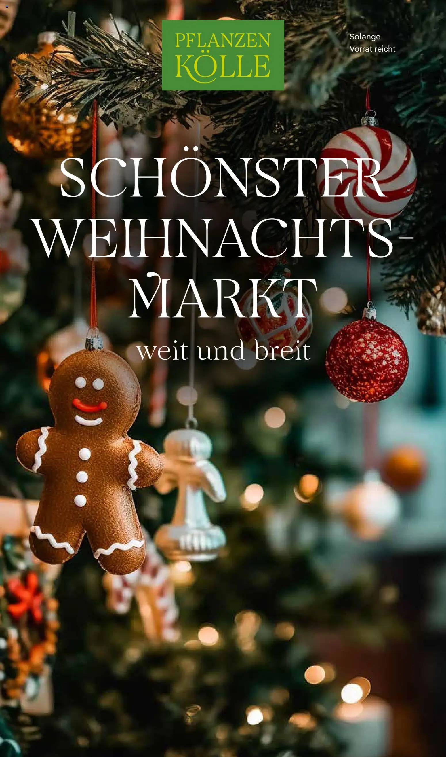 Pflanzen-Kölle Weihnachtsmarkt-Prospekt – gültig ab 10.11.2025 | Seite: 1