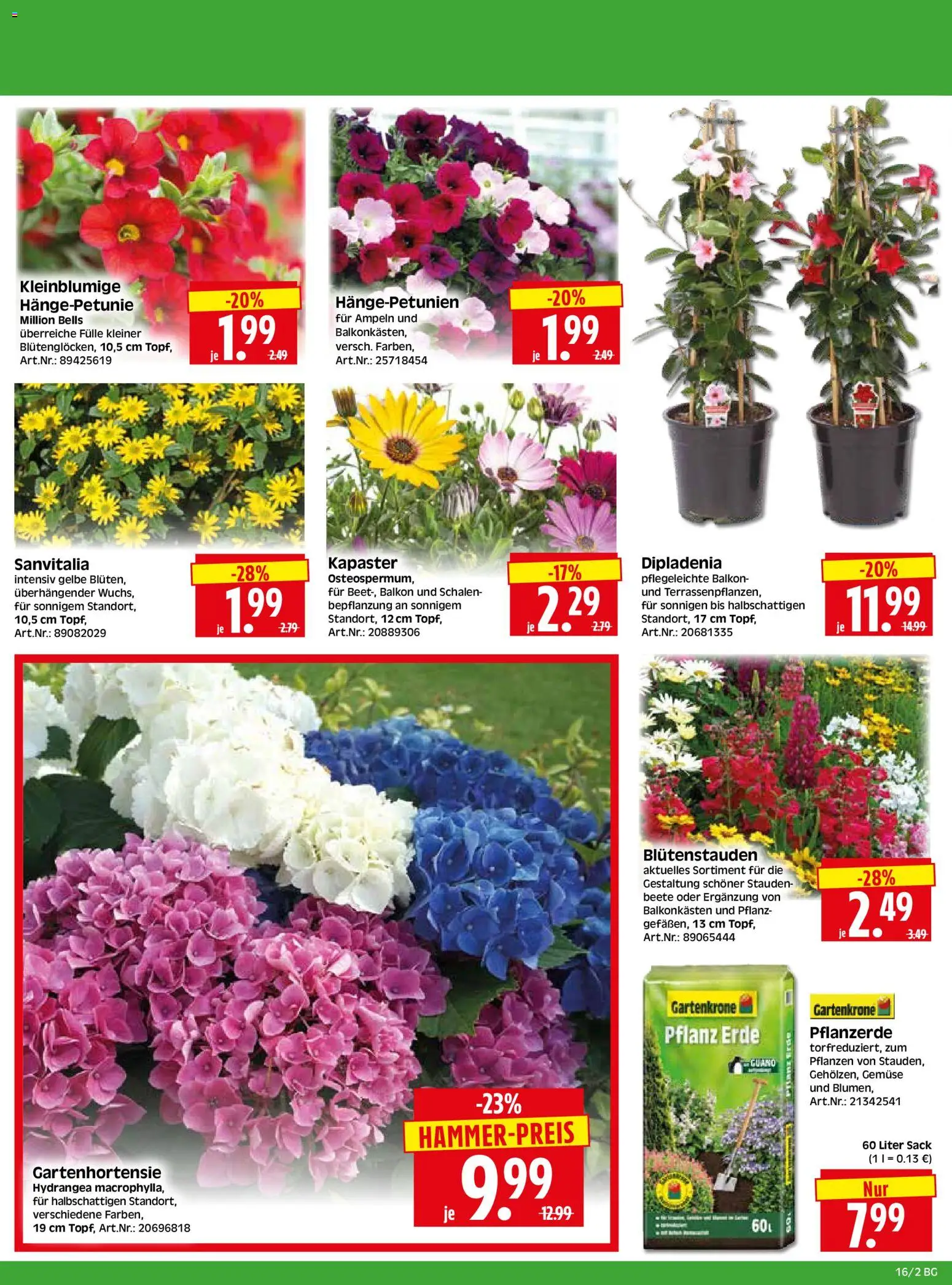HERKULES Bau & Garten – gültig ab 13.04.2026 | Seite: 2 | Produkte: Pflanzerde, Gemüse