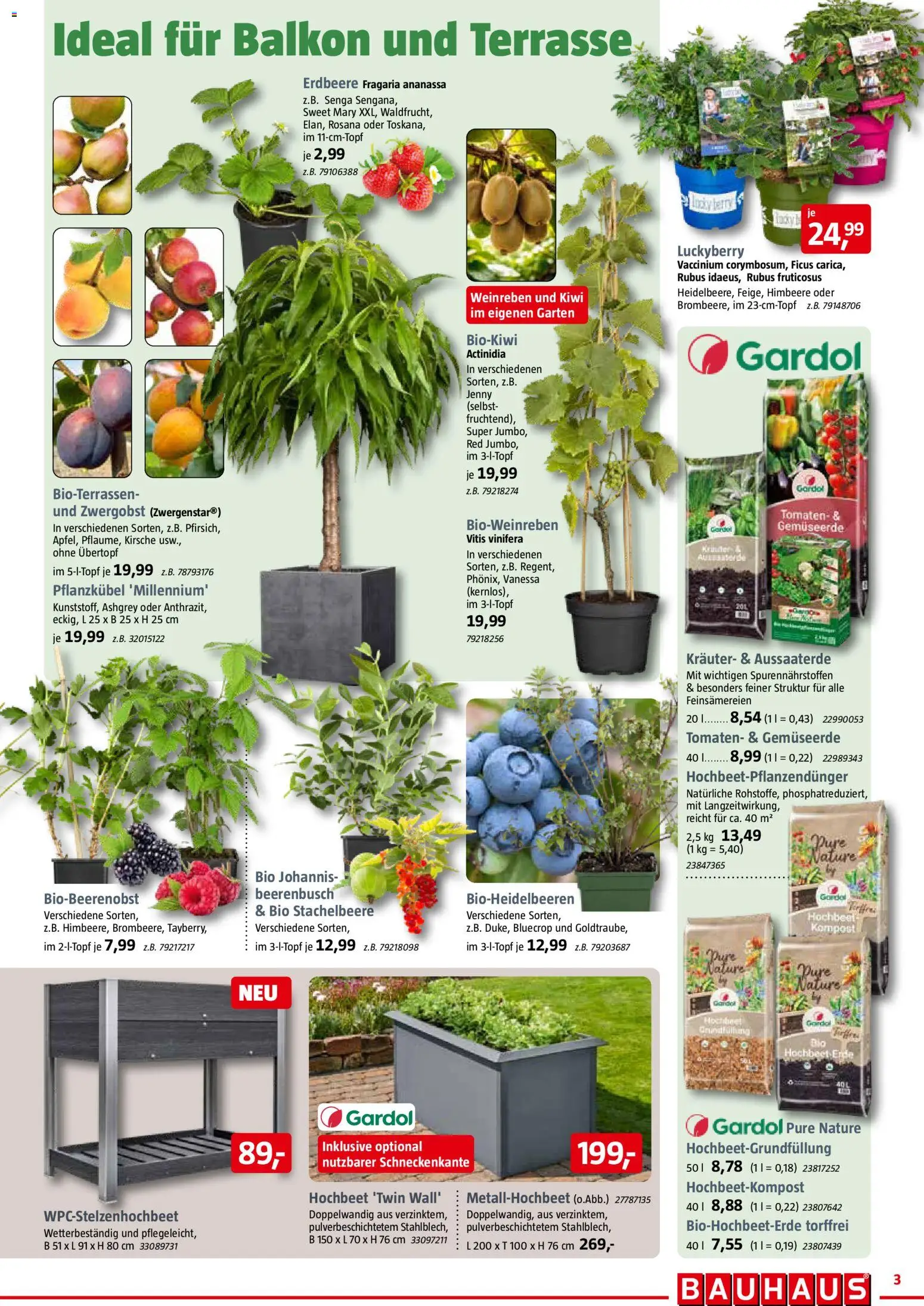 Bauhaus Prospekt 	 – gültig ab 28.03.2026 | Seite: 3 | Produkte: Hochbeet, Tomaten, Himbeere, Kiwi