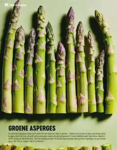 GROENE ASPERGES, De groene asperges laten zich zien! En net daarom zijn ze groen ... Want wist je dat ze hun prachtige kleur krijgen door de zon, terwijl witte asperges onder de grond groeien? Vanaf midden april zijn deze toppers 100% Belgisch bij Delhaize. Ons lievelingsrecept? De lichte lentequiche met groene asperges en prosciutto op p. 48. Om je vingers bij af te likken! - Voorbeeld van een folder van Delhaize, geldig van 02.04.2026 | Pagina: 16 | Producten: Asperges