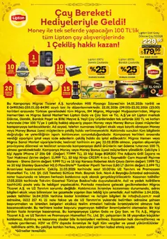 29.01.2026 tarihinden itibaren geçerli olan Migros kataloğu önizlemesi | Sayfa: 47