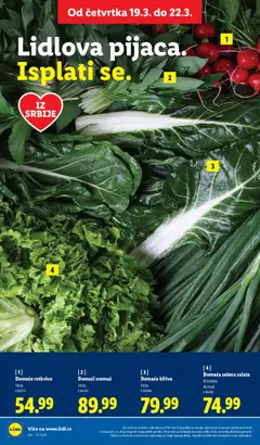 Domaća zelena salata, Kristalka, Komad - pregled Lidl kataloga - važi od 19.03.2026 | Strana: 18 | Proizvode: Salata