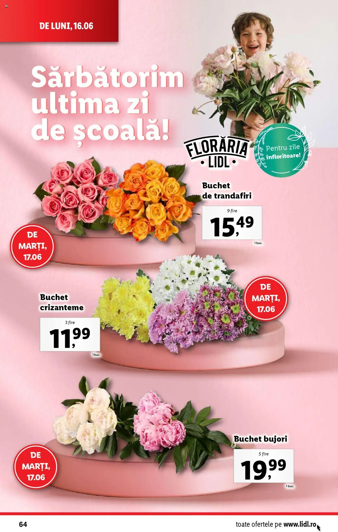 Catalog Lidl – valabil de la 16.06.2025 | Pagină: 64