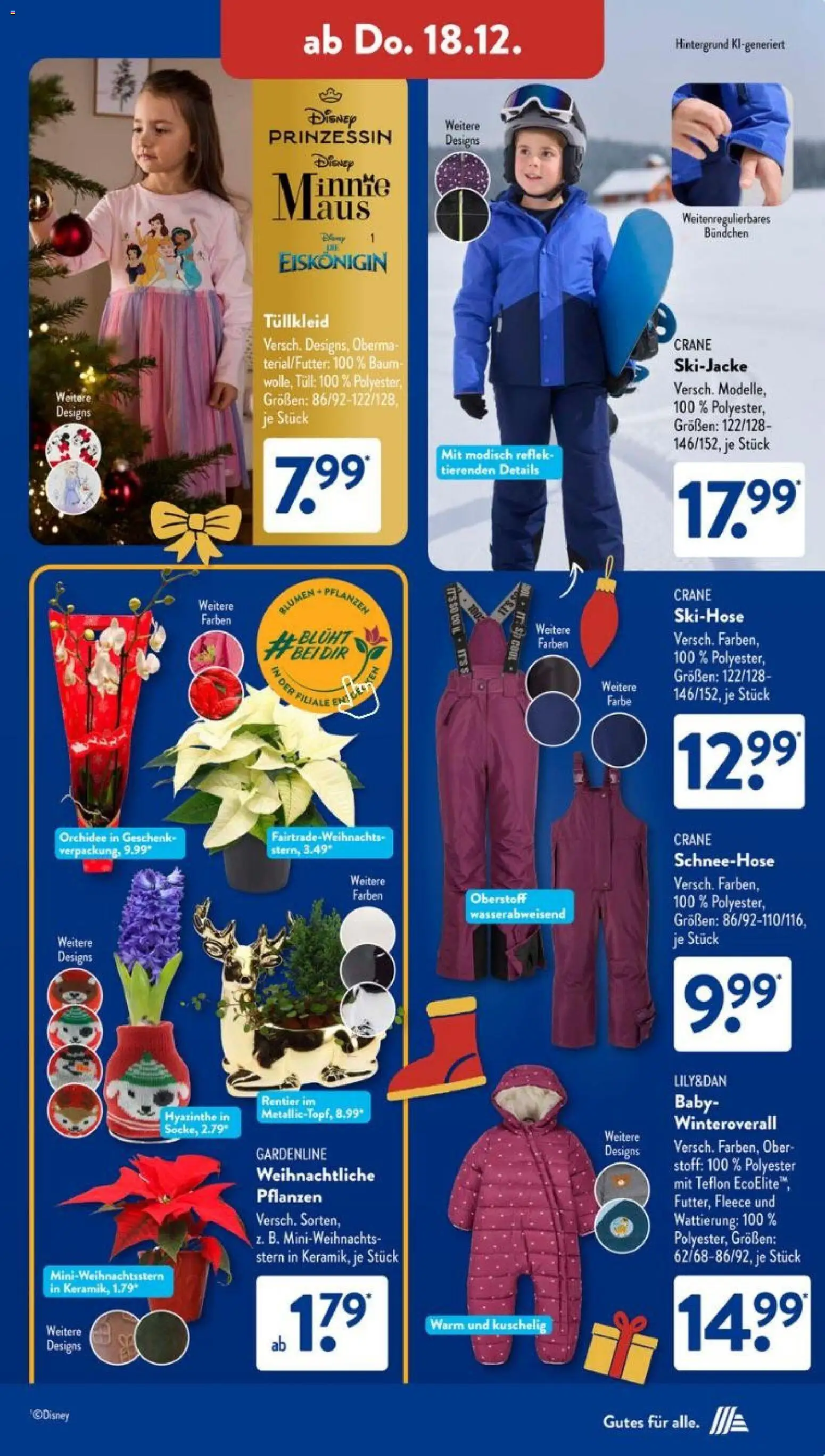 Aldi Süd Prospekt 	 – gültig ab 15.12.2025 | Seite: 13 | Produkte: Orchidee, Blumen