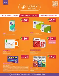 Gintarinė leidinys galioja nuo 01.01.2026