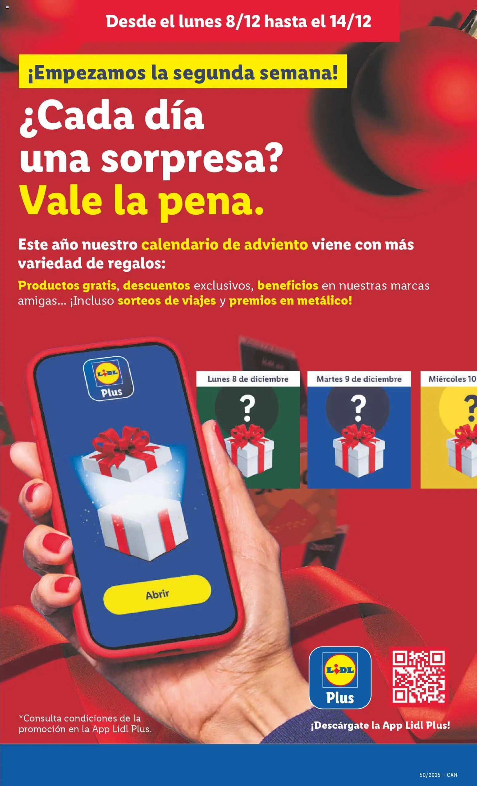 Lidl - Canarias │ válido desde el 08.12.2025 | Página: 31
