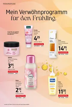 dm drogerie markt Journal März 2026 ab 12.03.2026 gültig | Seite: 4