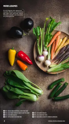 Pré-visualização Makro Especial Frutas e Verduras 2026 válido de 06.03.2026 | Página: 2