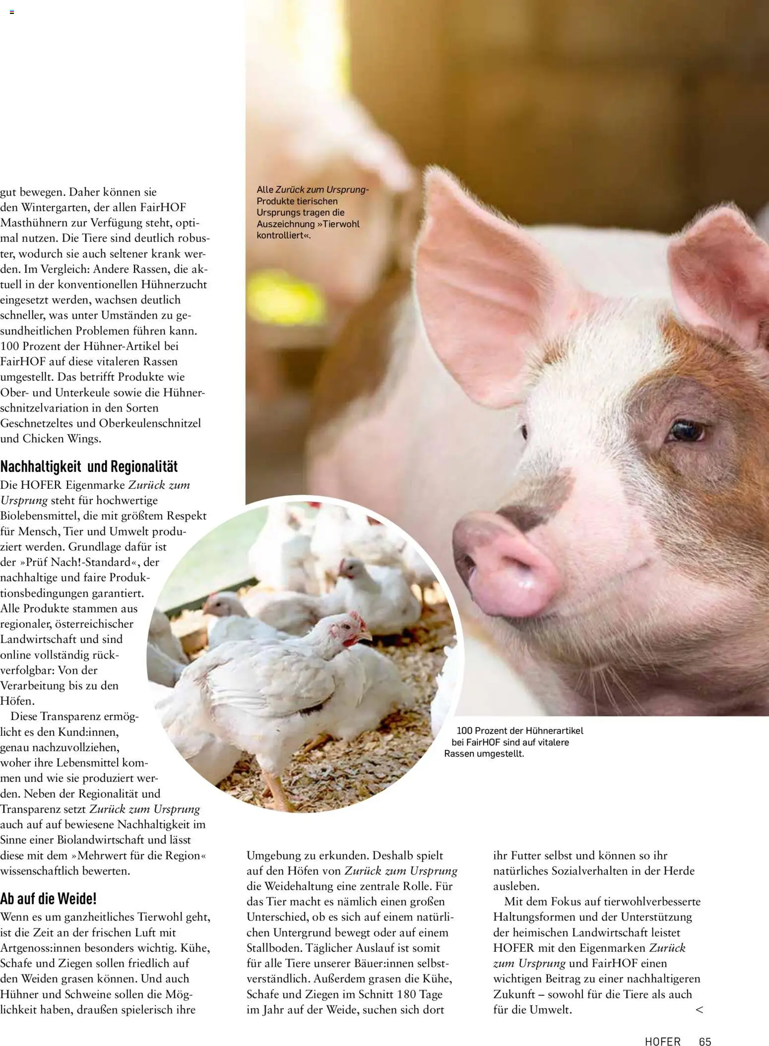 Hofer AT akciós ujság - amely érvényes a következő dátumtól: 04.09.2025 | Oldal: 65