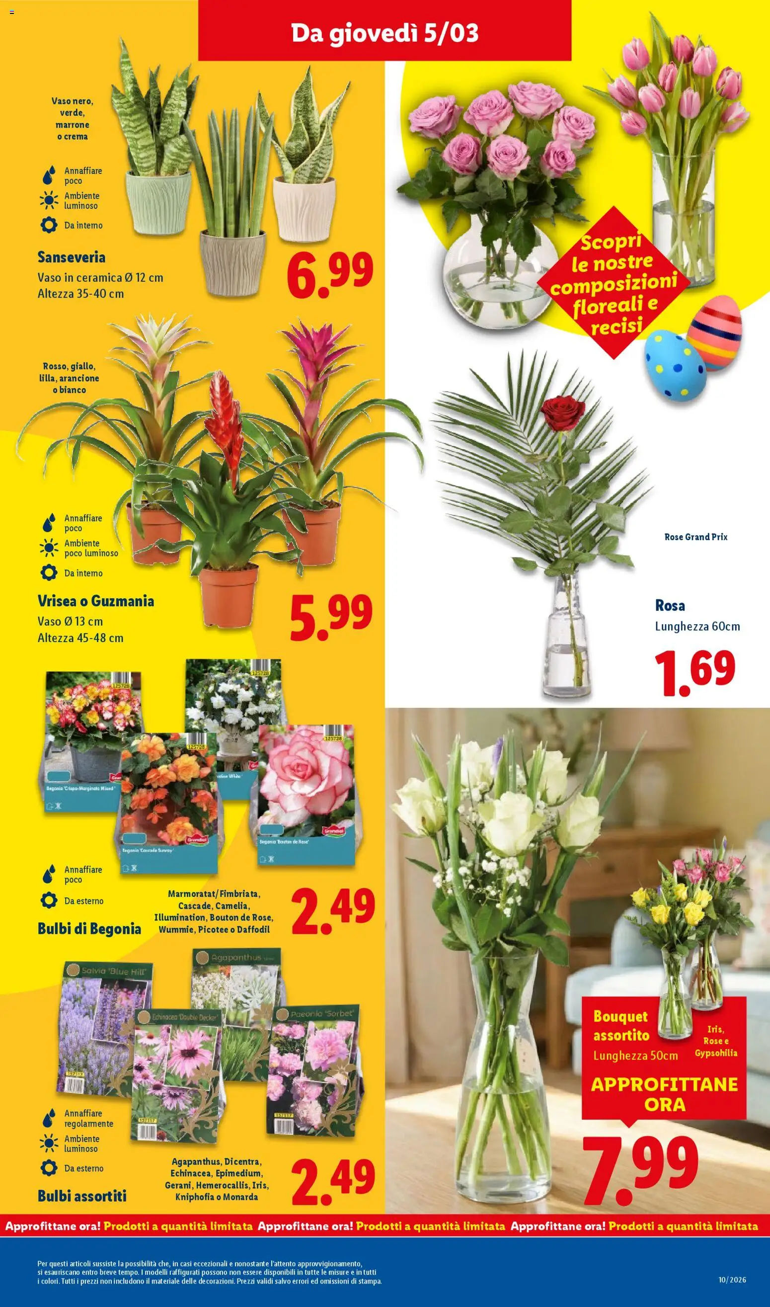 Volantino Lidl del 02.03.2026 | Pagina: 41 | Prodotti: Crema, Vaso