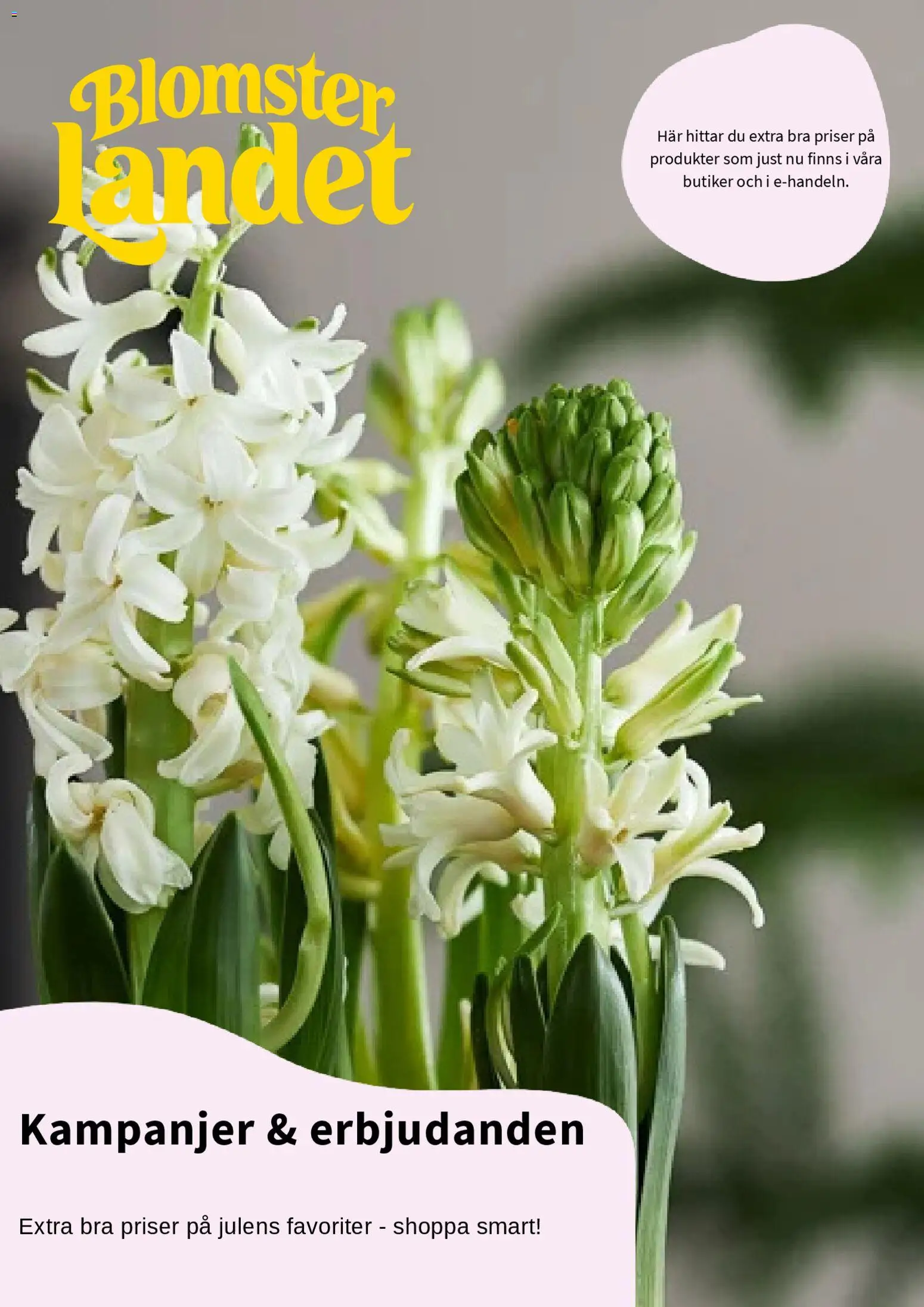 Blomsterlandet reklamblad aktuell från 01.12.2025 | Sida: 1