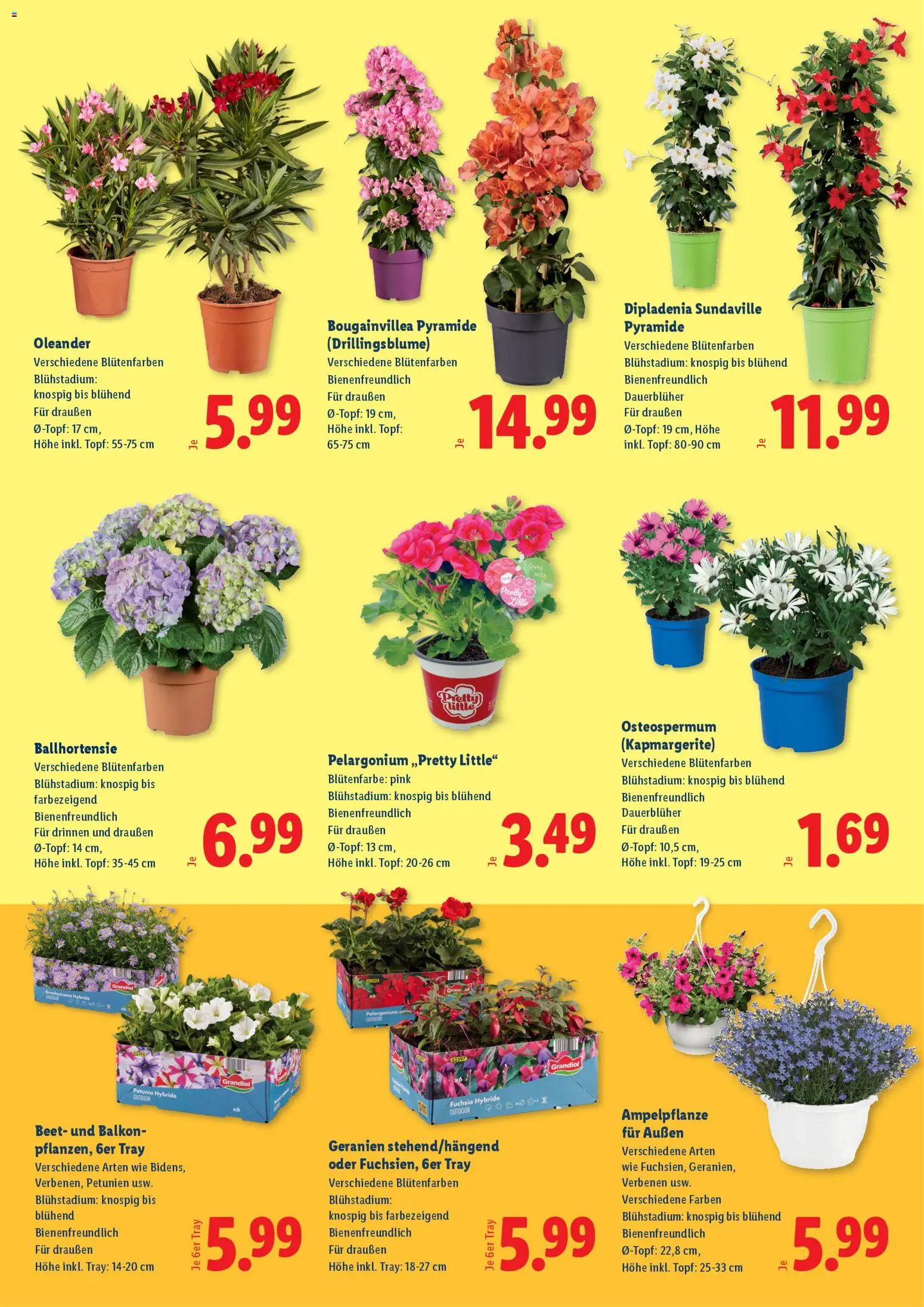 Lidl Das Beste für deinen Garten gültig ab 23.04.2026 | Seite: 2