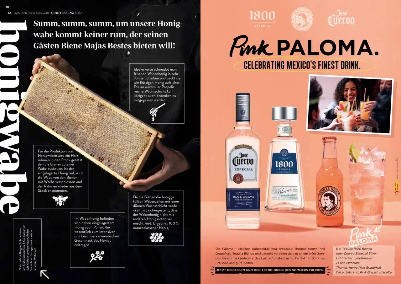 Transgourmet Quintessenz 03 | 2025 gültig ab 06.10.2025 | Seite: 34 | Produkte: Grapefruit, Limette