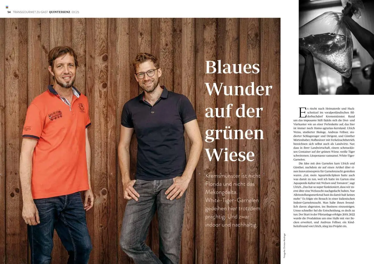 Transgourmet Quintessenz 03 | 2025 gültig ab 06.10.2025 | Seite: 29