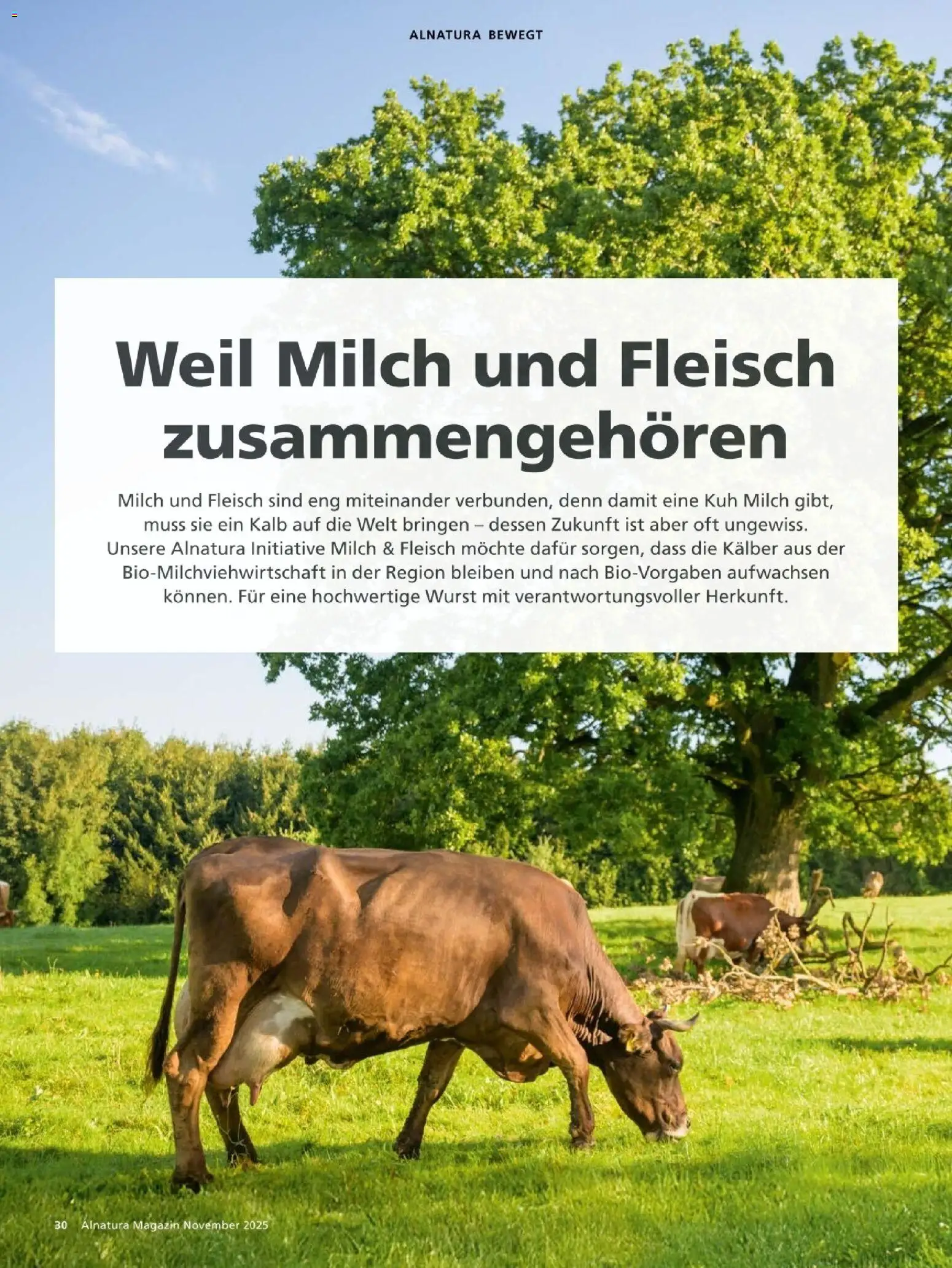Alnatura Prospekt – gültig ab 01.11.2025 | Seite: 30 | Produkte: Milch, Wurst, Fleisch