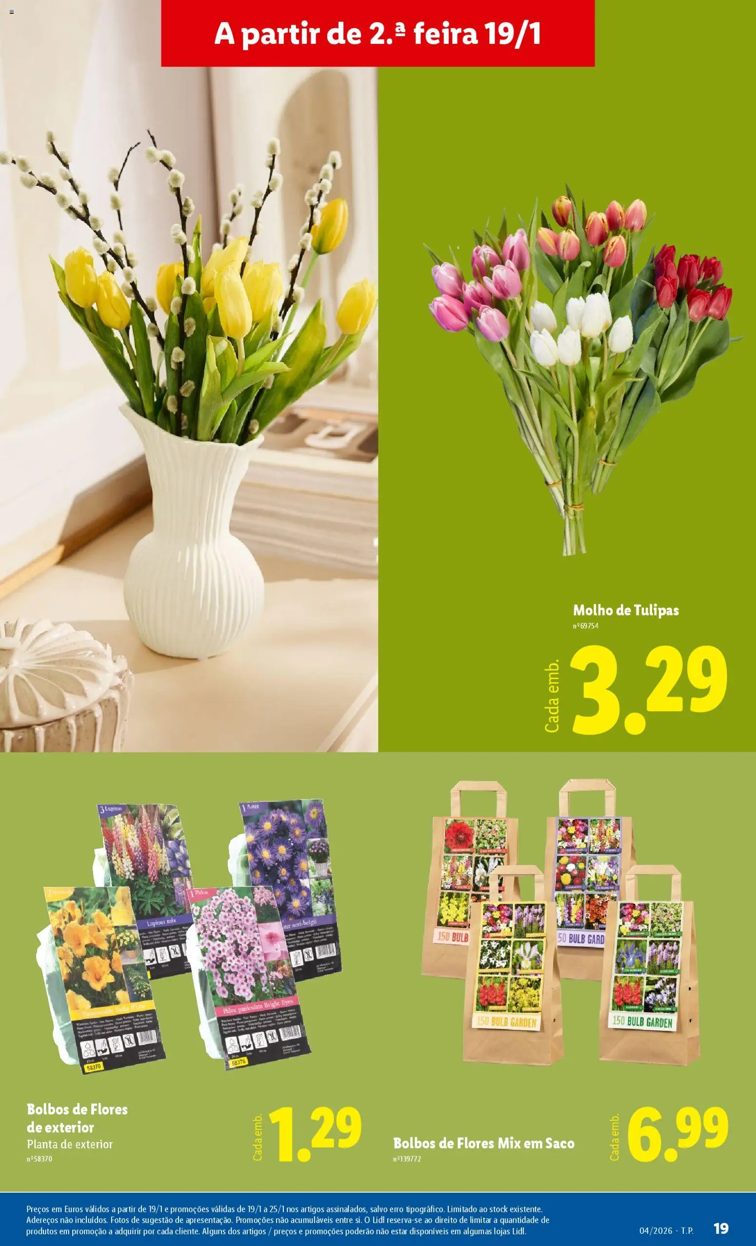 Lidl Novidades │ válido de 19.01.2026 | Página: 19 | Produtos: Flores