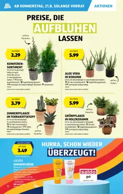 Aldi Aktionen ab 21.08.2025 | Seite: 13