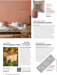 Bauhaus Passt! ab 01.10.2025 gültig | Seite: 8