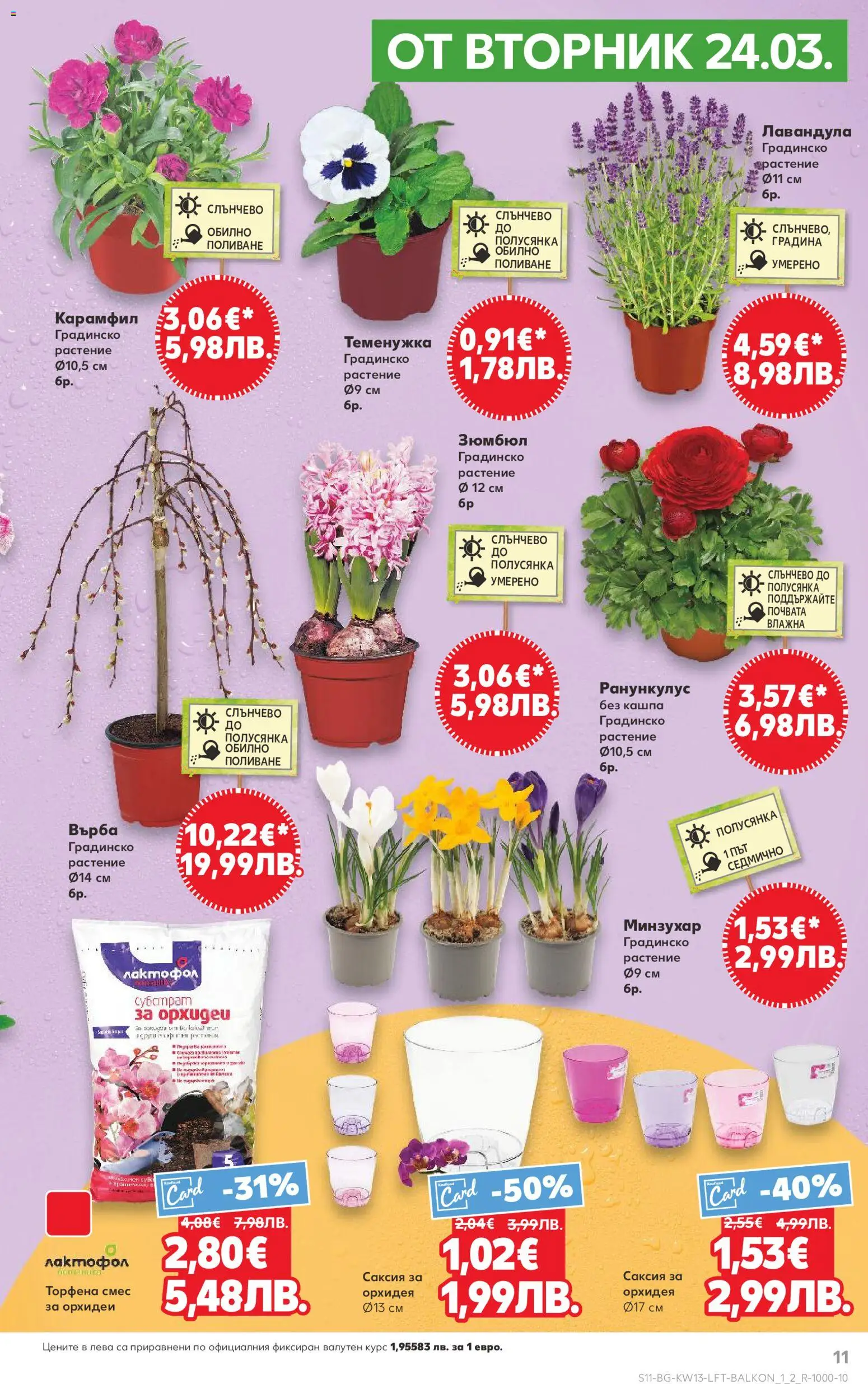 {H1} | Страница: 11 | Продукти: Кашпа, Орхидея, Карамфил, Саксия