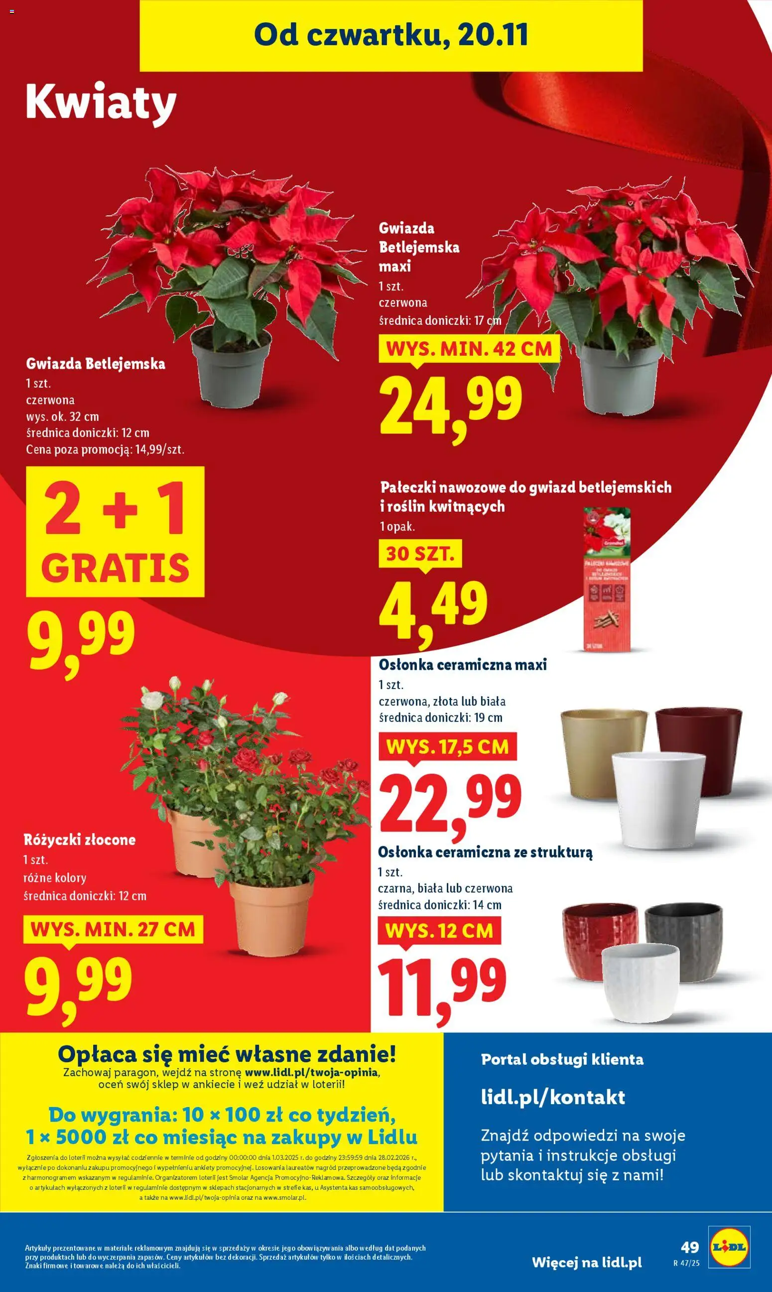 Lidl Gazetka od 20.11.2025 | Strona: 53 | Produkty: Doniczki, Kwiaty