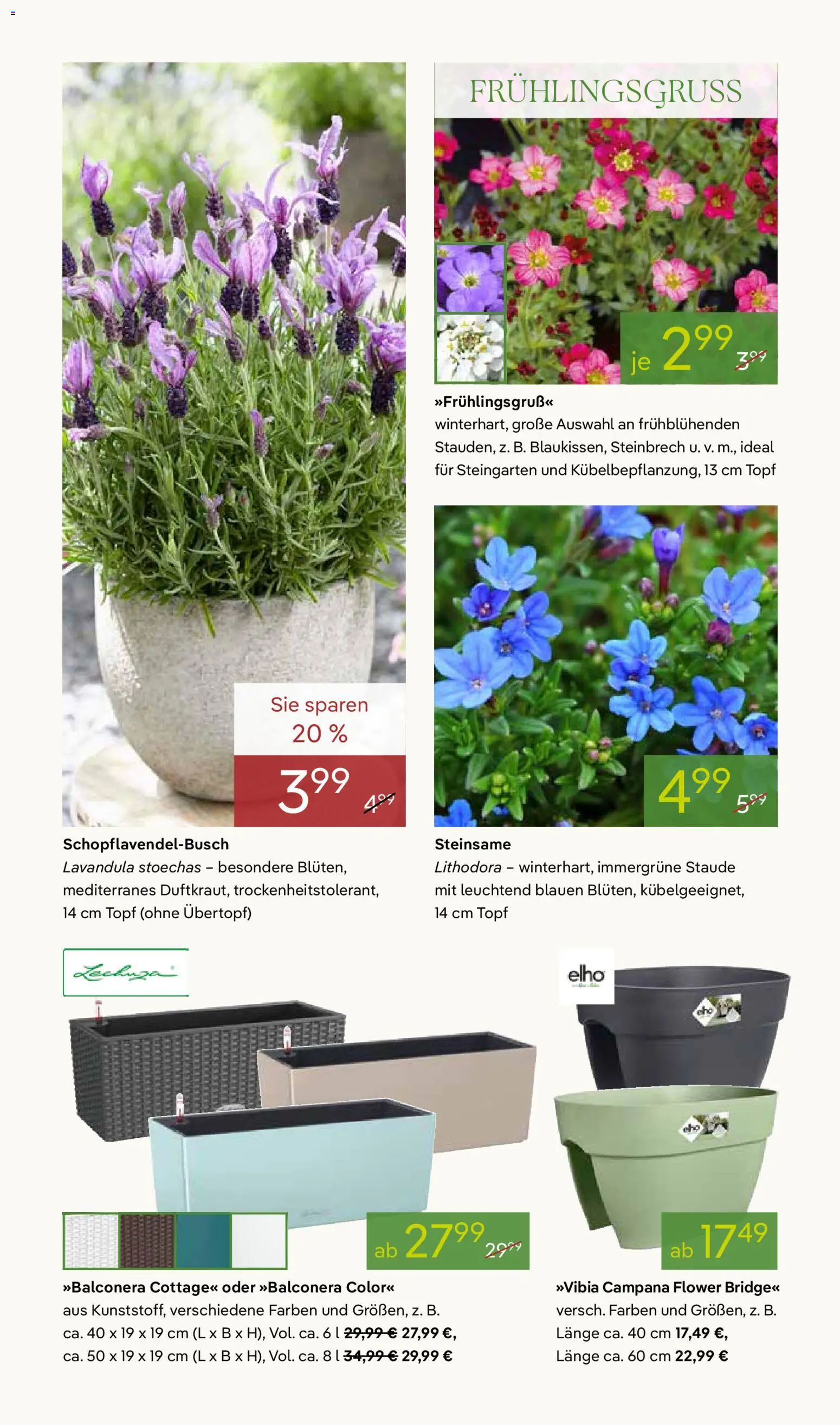 Pflanzen-Kölle Prospekt 	 – gültig ab 16.03.2026 | Seite: 4