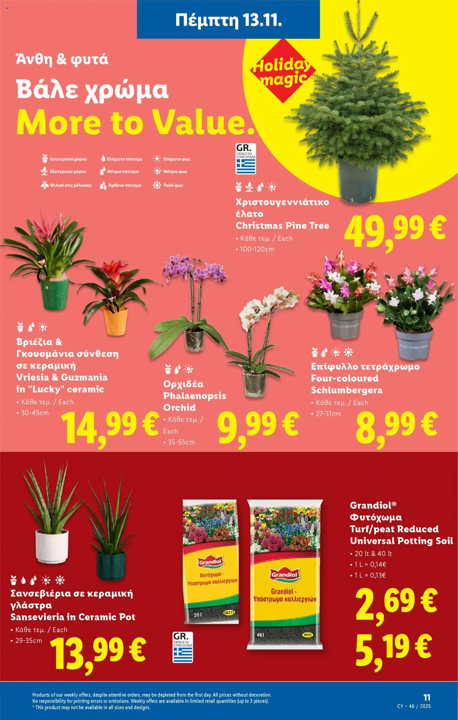 Lidl - Φυλλάδιο – σε ισχύ από 13.11.2025 | Σελίδα: 41