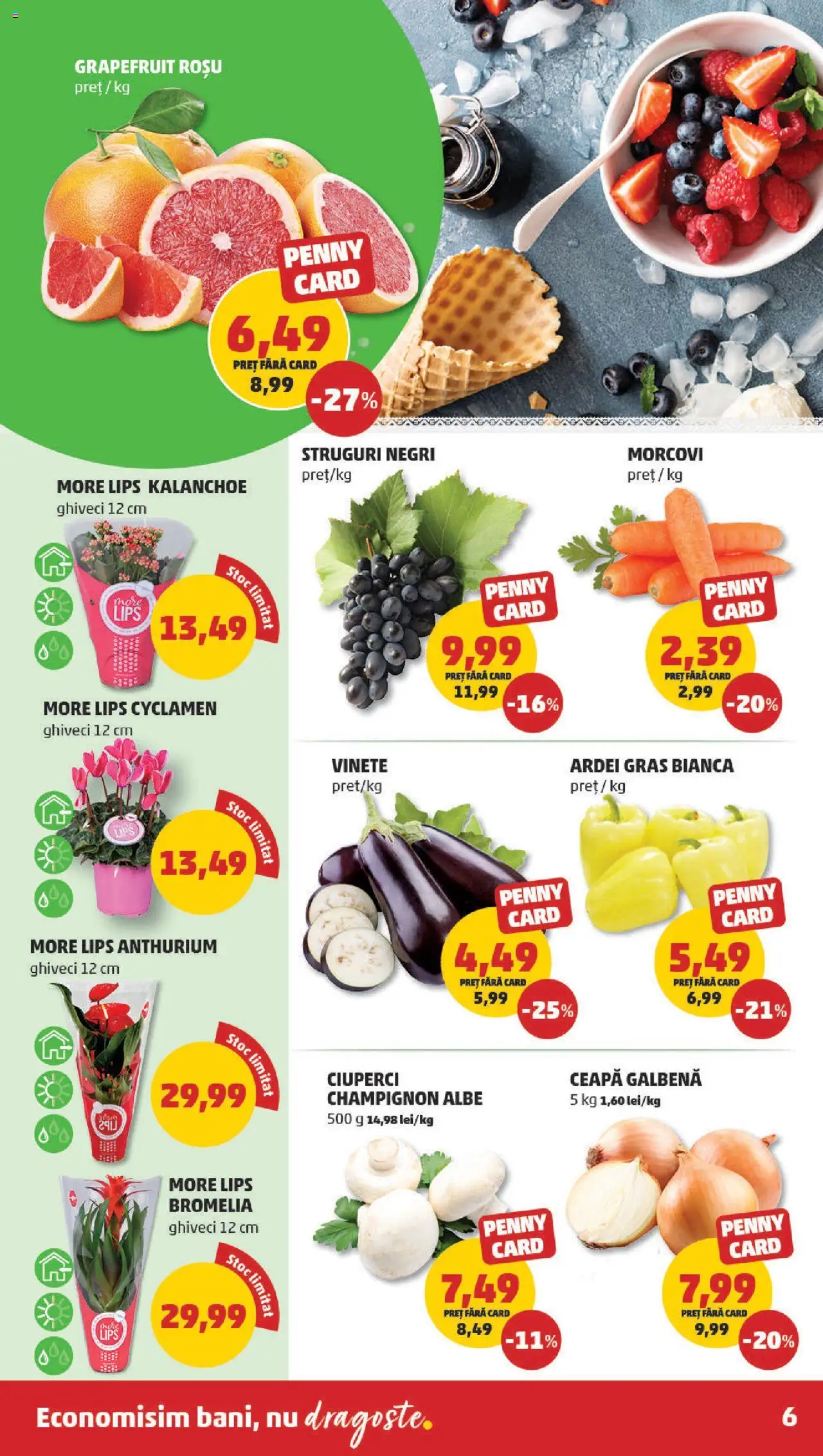 Catalog PENNY – valabil de la 27.08.2025 | Pagină: 6 | Produse: Bromelia, Ardei, Morcovi, Ceapă