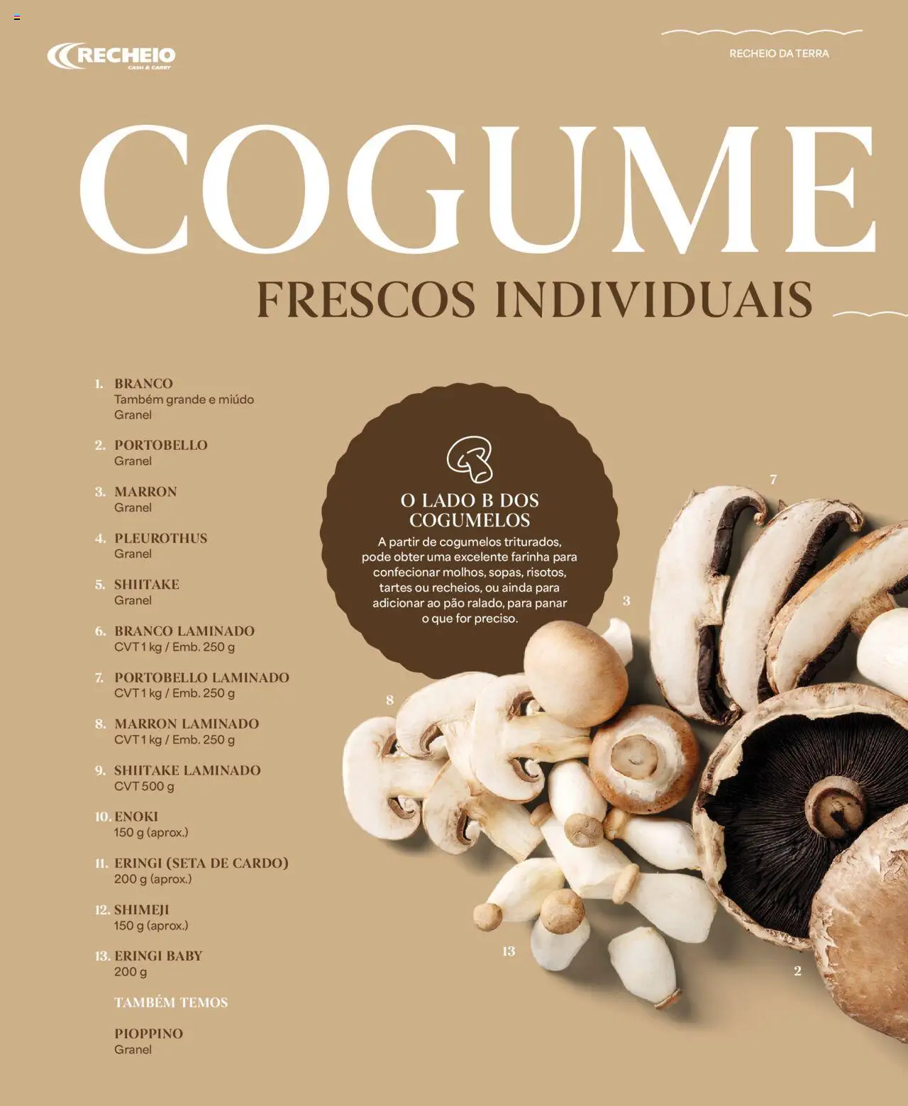 Recheio - Recheio da Terra │ válido de 25.09.2025 | Página: 36 | Produtos: Pão, Cogumelos