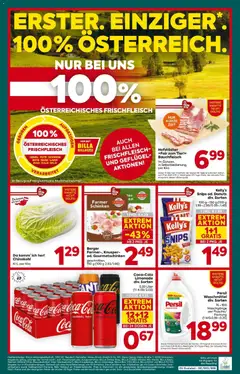 Billa Plus Flugblatt - Wien ab 05.02.2026 gültig | Seite: 16 | Produkte: Zucker, Chinakohl, Schinken, Waschmittel