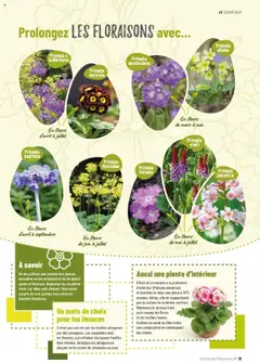 VillaVerde - Prévisualisation de VillaVerde catalogue valide à partir de 19.09.2025 | Page: 13