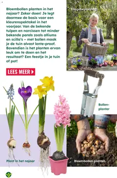 GroenRijk - GroenRijk Magazine 4/2025 - Voorbeeld van een folder van GroenRijk, geldig van 01.09.2025 | Pagina: 11 | Producten: Pot