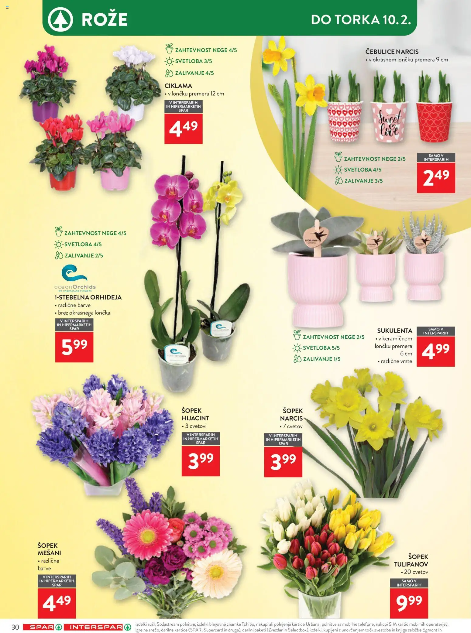 Novi Spar katalog ponudbe – veljaven od 28.01.2026 | Stran: 36 | Izdelki: Šopek