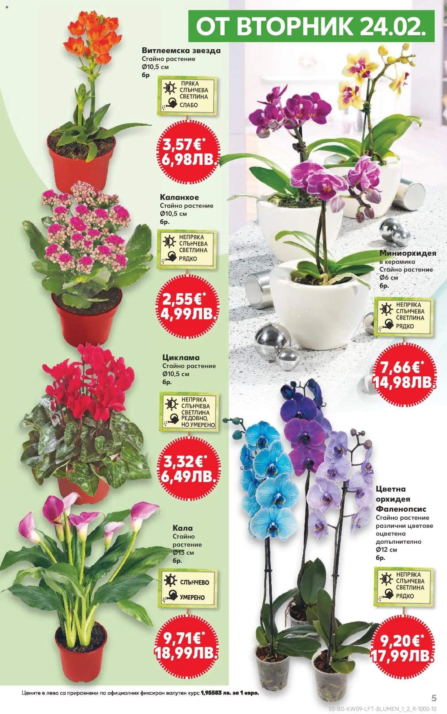 {H1} | Страница: 5 | Продукти: Орхидея