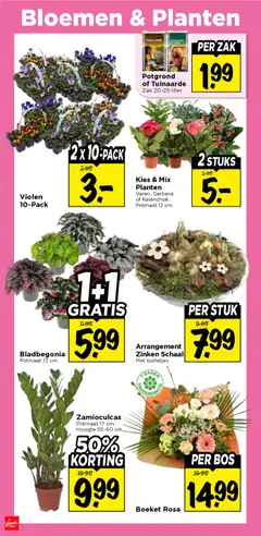 Vomar - Folder - Voorbeeld van een folder van Vomar, geldig van 22.02.2026 | Pagina: 33 | Producten: Schaal, Bloemen, Zak, Bolletjes