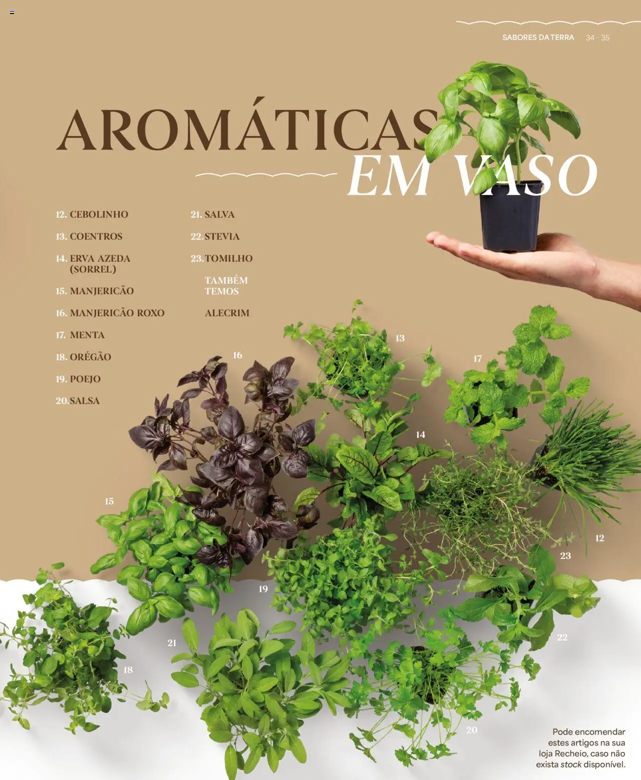 Recheio - Recheio da Terra │ válido de 25.09.2025 | Página: 35 | Produtos: Vaso