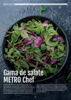 Ofertele Metro valabile de la 14.11.2024 | Pagină: 82 | Produse: Masaüstü kılıfı, Salată