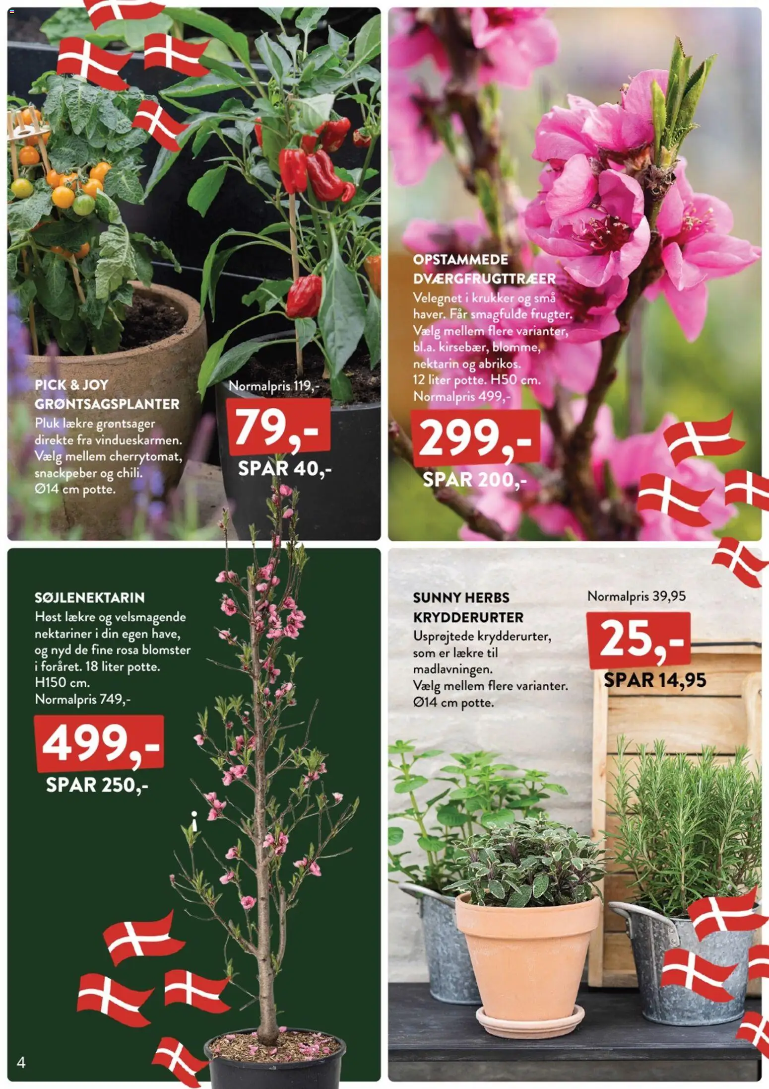 Plantorama tilbudsavis – gyldig fra 06.03.2026 | Side: 4 | Produkter: Snackpeber, Nektariner, Søm
