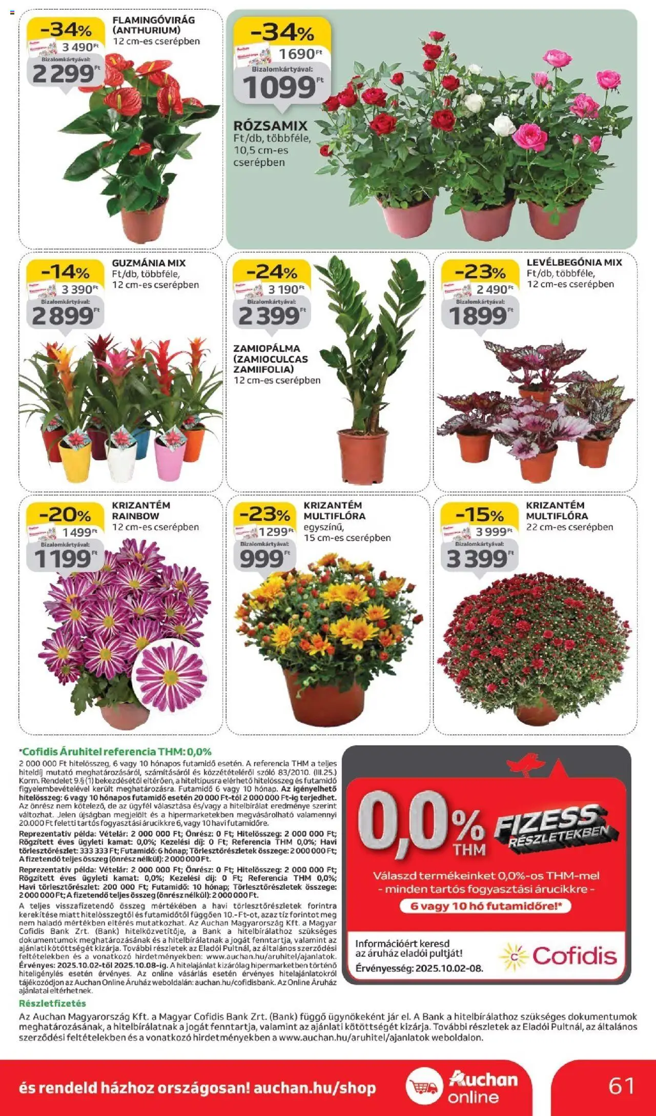 Auchan akciós ujság - amely érvényes a következő dátumtól: 02.10.2025 | Oldal: 61 | Termékek: Szőlő