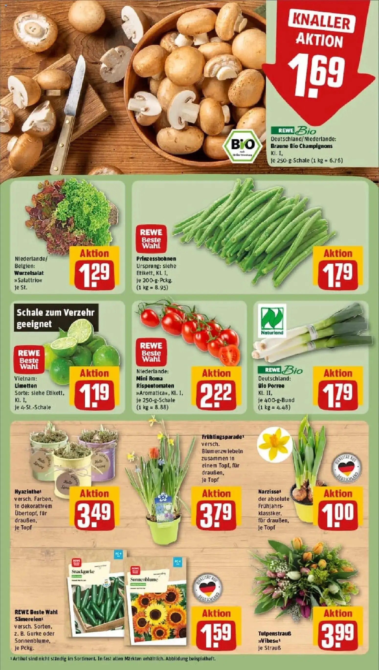 Rewe prospekt Thale	 – gültig ab 02.02.2026 | Seite: 9 | Produkte: Limetten, Champignons