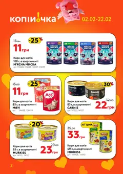 Копійочка акції дійснийкції з 02.02.2026 | Сторінка: 2