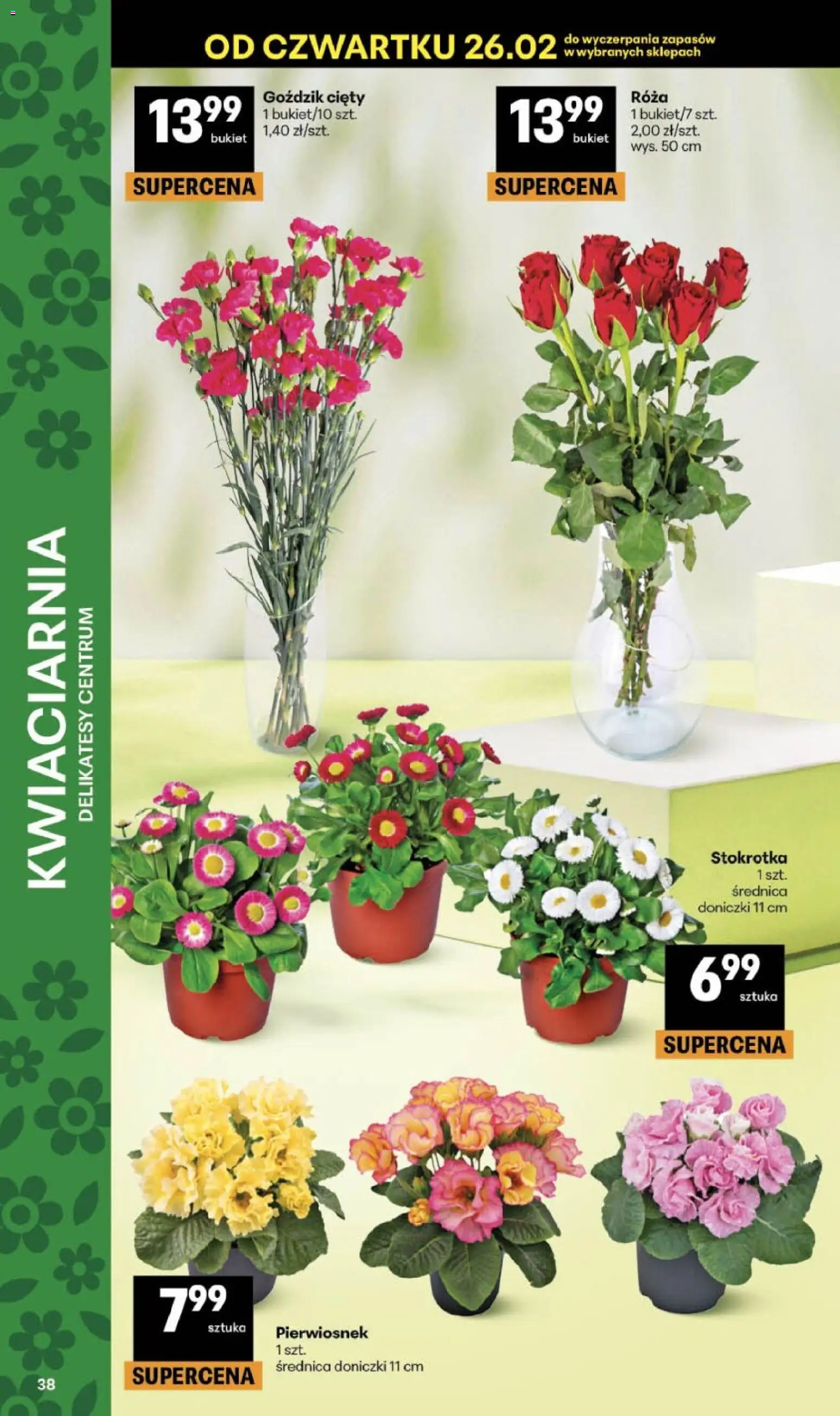 Delikatesy Centrum Gazetka od 26.02.2026 | Strona: 38 | Produkty: Stokrotka, Goździk, Delikatesy, Doniczki
