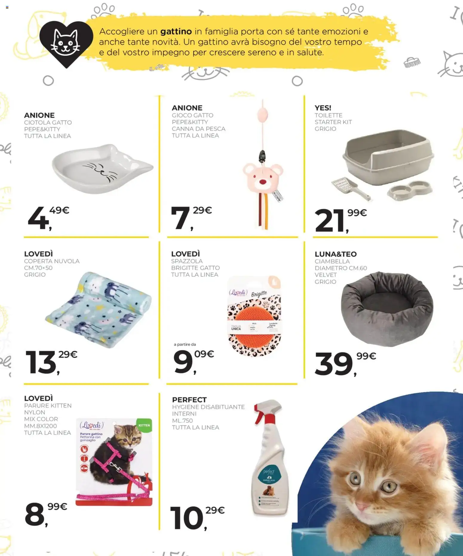 Volantino Arcaplanet del 08.01.2026 | Pagina: 17 | Prodotti: Spazzola, Pesca, Coperta, Ciotola